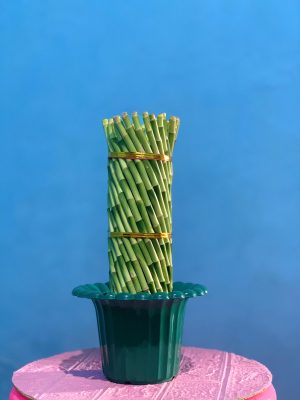 Green Cotton Candy Jumbo