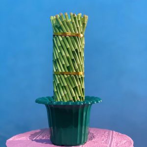 Green Cotton Candy Jumbo